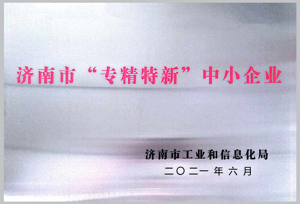 济南市专精特新证书