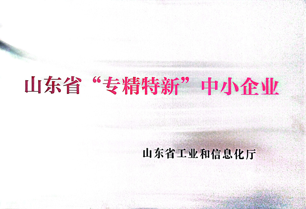 山东省专精特新证书
